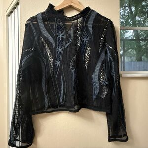 Zara Black Sheer Embroidered Top